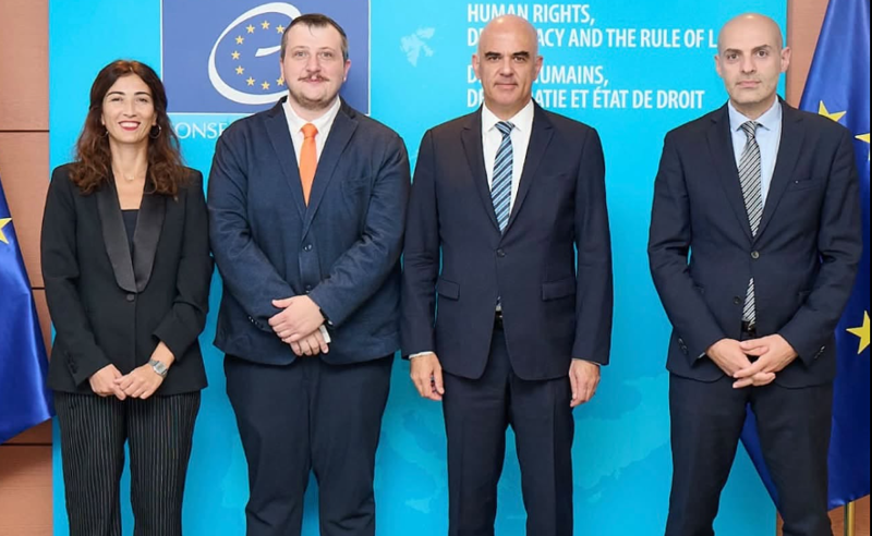 არასამთავრობო ორგანიზაციების წარმომადგენლები ევროსაბჭოს გენერალურ მდივანს შეხვდნენ