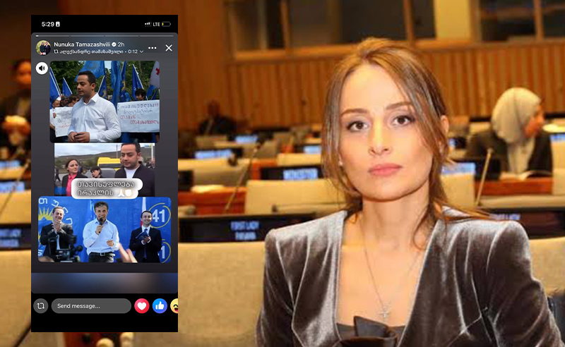 ნუნუკა თამაზაშვილი აქვეყნებს ფოტოს, სადაც ღარიბაშვილი ივანიშვილთან ერთად ჩანს