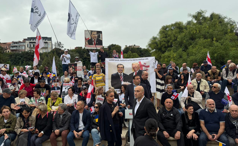 რიყის პარკში "ნაციონალური მოძრაობის" აქცია მიმდინარეობს