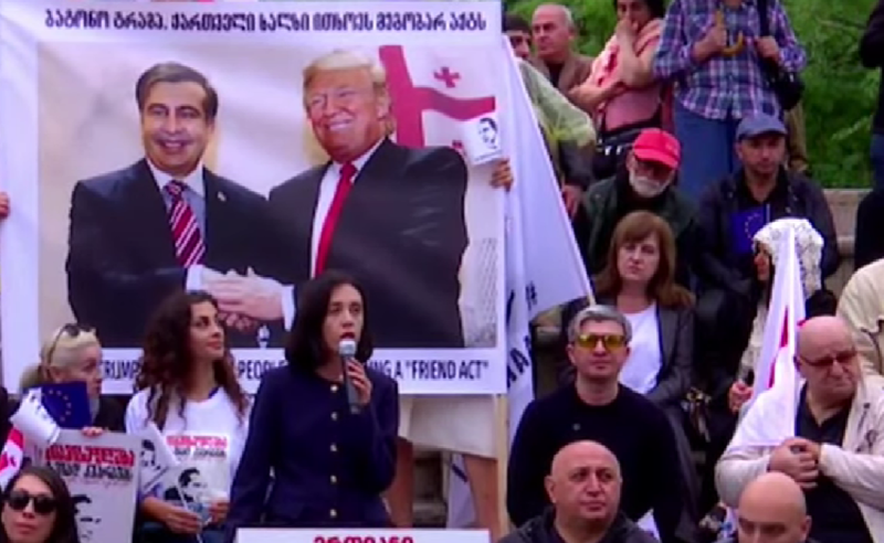  მიხეილ სააკაშვილის პატიმრობა არის ქვეყნის ეროვნული სირცხვილი  - ანი წითლიძე