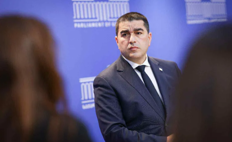 შალვა პაპუაშვილი პაატა ბურჭულაძის შვილს აკრიტიკებს
