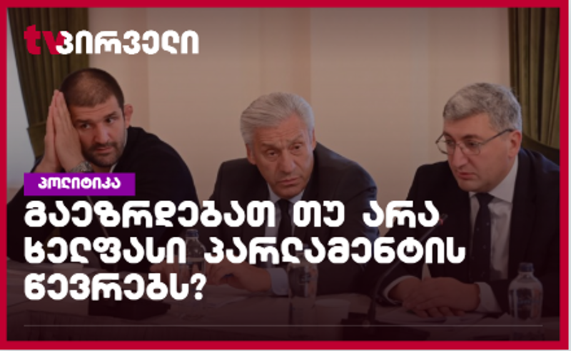 ეზრდებათ თუ არა ხელფასი პარლამენტარებს? - რას ამბობს  ფინანსთა მინისტრის მოადგილე