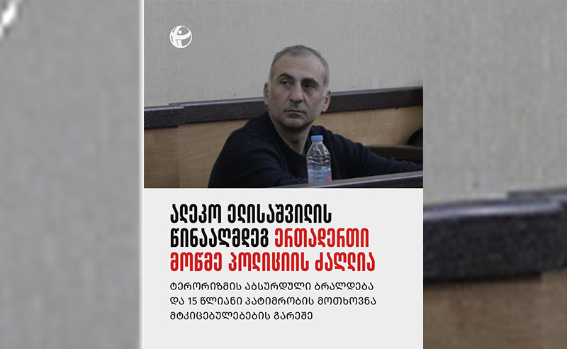 ელისაშვილის წინააღმდეგ ერთადერთი მოწმე პოლიციის ძაღლია - TI-ს დასკვნით, პროკურატურამ პოლიტიკოსს საქმე „შეუკერა“ 
