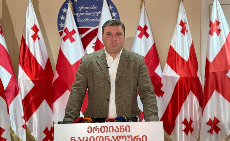 ენმ დევნილთა შემწეობის საარსებო მინიმუმამდე გაზრდასა და საცხოვრებლისთვის კომპენსაციის გადახედვას ითხოვს