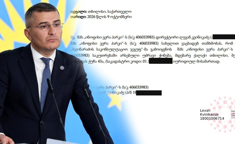 "მდინარაძის ერთადერთი ამოცანაა, ივანიშვილს ცუდად არ გაახსენდეს" - შეფასებები "ოცნების" ყოფილი ლიდერის ახალ საქმიანობაზე