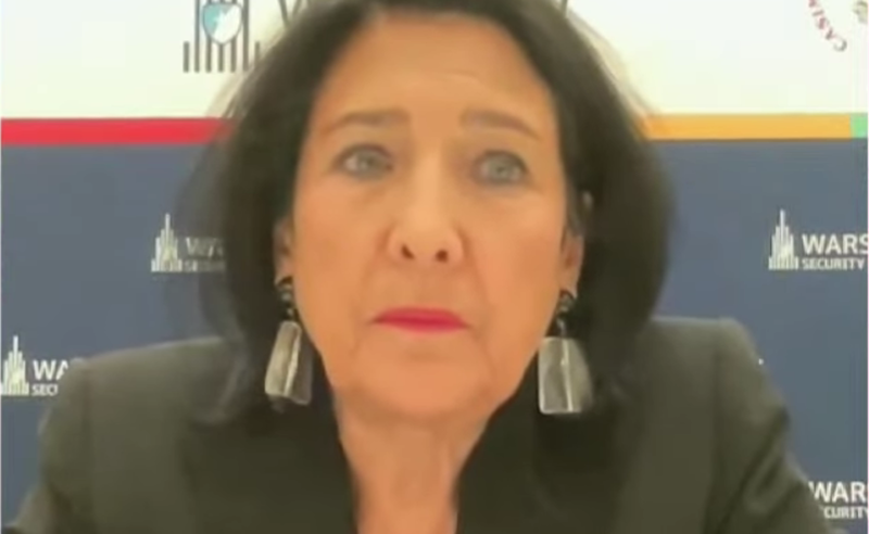 ეს არის ნიშნები რეჟიმის, რომელიც თავის თავში სისუსტეს ებრძვის - ზურაბიშვილი პარტიების აკრძალვაზე