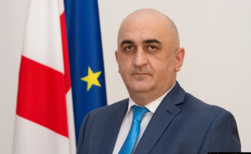 თემურ გოგოხიამ უზენაესი სასამართლოს მოსამართლეობის კანდიდატურა მოხსნა - საბჭო შერჩევის პროცესს თავიდან იწყებს