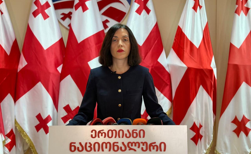 პარტიების აკრძალვის დავალება დაიწერა კრემლში - ანა წითლიძე