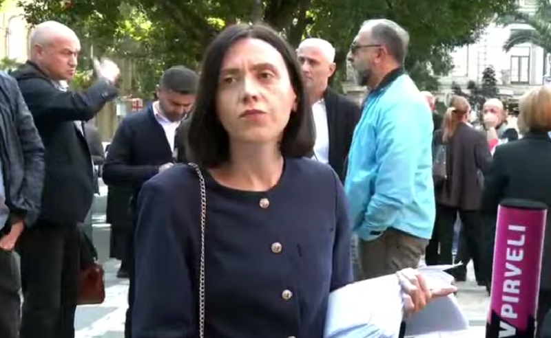 მოსამართლეები იმ გადაწყვეტილებას მიიღებენ, რასაც ივანიშვილი დაავალებს - ანი წითლიძე 