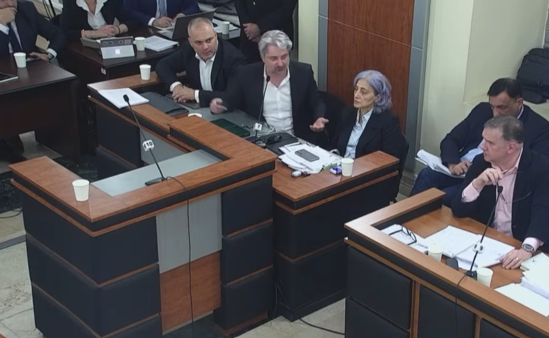 „ამ კოლექტიურში ჩემი თავი რომელ მარცვალში და ძახილის ნიშანში ამოვიკითხო?“ - გვარამია პარტიების აკრძალვის სარჩელზე