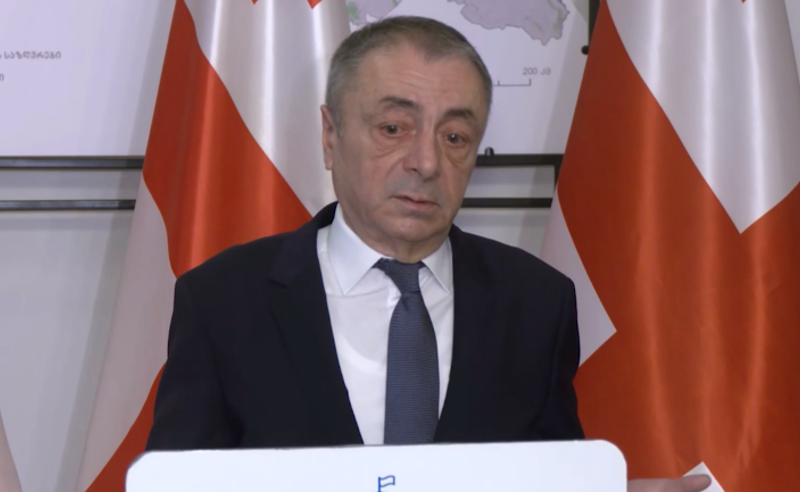 პარტიების აკრძალვის საქმე - "ოცნება" საკონსტიტიციო განხილვის პურველი დღით კმაყოფილია