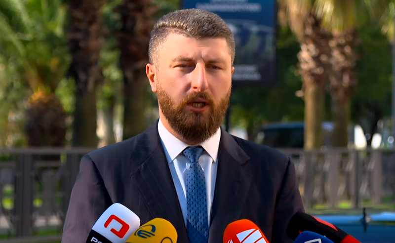 გორდულაძის თქმით, პარტიებს, რომლის აკრძალვასაც ითხოვენ, "ერთ და იგივე ზნე" აქვთ 
