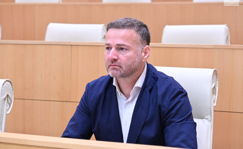 პარტიებს, რომლების აკრძალვას ითხოვენ, "ოცნებაში" "პარაზიტები" უწოდეს
