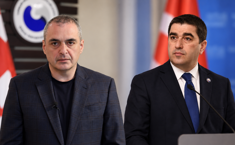 პაპუაშვილმა კომენტარი გააკეთა გიორგი პატარიძისთვის უფლებამოსილების შეჩერების რეკომენდაციის თაობაზე