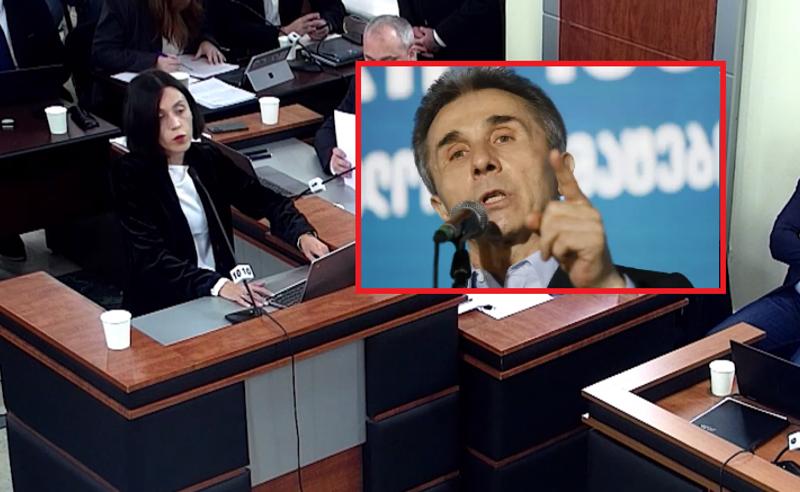 2012 წელს ის პირდაპირ მიუთითებდა... - წითლიძე სასამართლოზე ბიძინა ივანიშვილს ციტირებს 