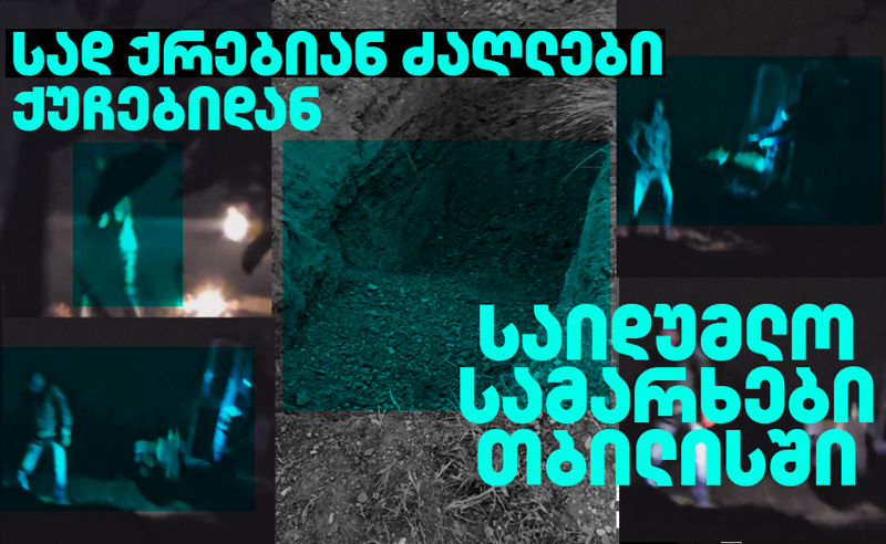 ექსკლუზიური კადრები: აღმოჩენილია საიდუმლო სამარხები თბილისში - სად ქრებიან ძაღლები ქუჩებიდან?